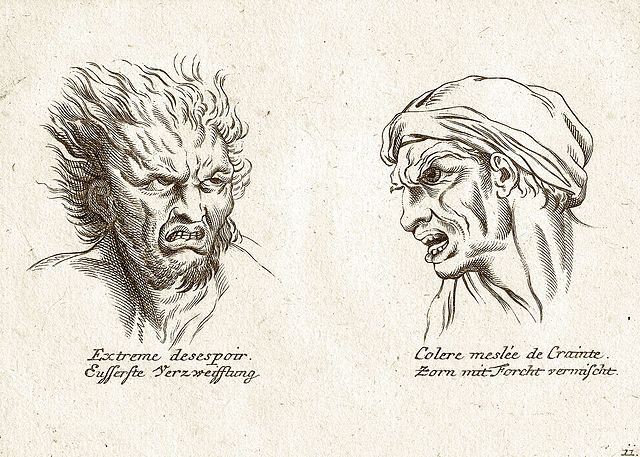 Typische Illustration in einem Buch über Physiognomie aus dem 19. Jh.; links: „Äußerste Verzweiflung“ und rechts: „Zorn mit Furcht vermischt“